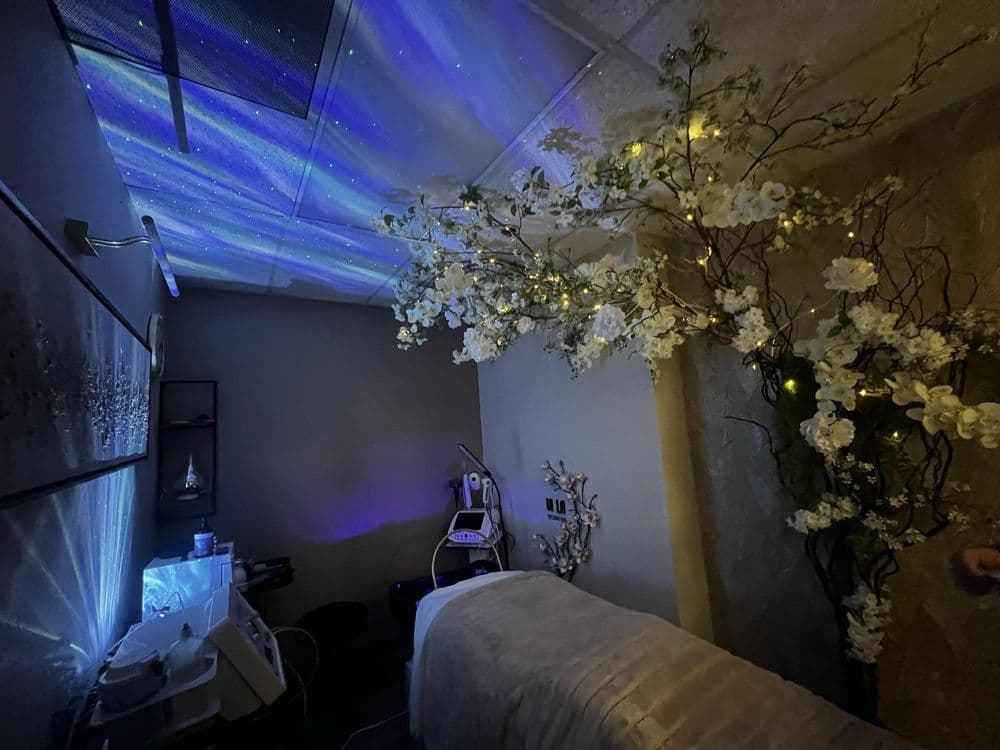 VI LA Studio Spa - hair transplant in San Jose, CA