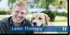 The Personal Touch Hair Replacement Center - hair transplant in Fort Wayne, IN