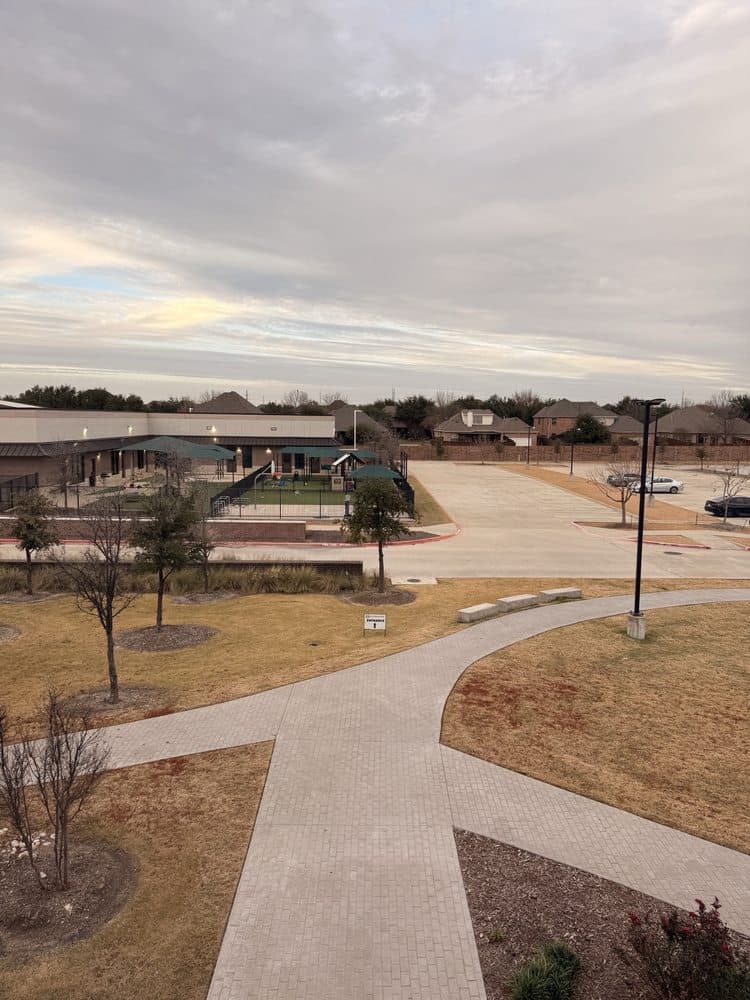 Isla Skin & Wellness - hair transplant in Frisco, TX